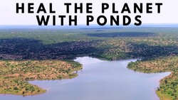 Heal the Planet with PONDS Instructional Video