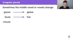 Forming irregular plural nouns Instructional Video