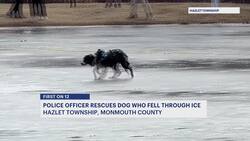 Caught on camera: Hazlet police officer rescues dog from icy lake News Clip