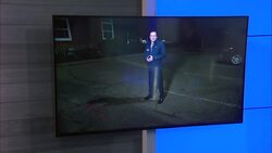 Wilton's British population reacts to Princess Kate's cancer diagnosis News Clip