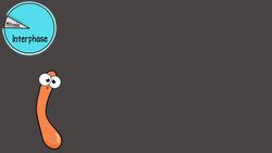 Chromosomes and Karyotypes Instructional Video