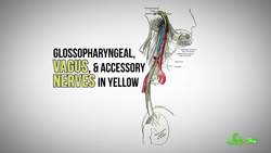 Why Do Kids Puke So Much? Instructional Video