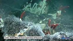 Could Life Survive Without a Star? Instructional Video