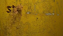 stressless life word carved in a yellow wall Stock Footage