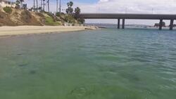 FIRE IN FREEFALL - rare physics experiment Instructional Video