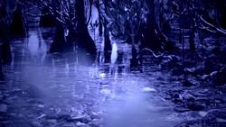 First Step to Becoming a Croc Island Ranger Instructional Video