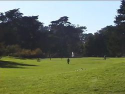 Introduction to Classifying Animals Instructional Video