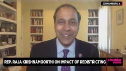 Rep. Raja Krishnamoorthi on Democrats' Chances in the Midterm Elections News Clip