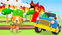 Forest Fire Instructional Video