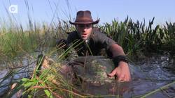 The BIGGEST Turtle You've EVER Seen! Instructional Video