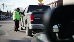 More than 1,100 pedestrians hit in Toronto this year News Clip