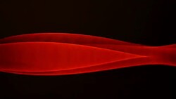 vibrations of light waves on dark background Stock Footage