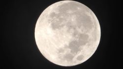 The Impact of Tides: Understanding the Rise and Fall of Ocean Levels Instructional Video