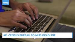 Newsy's Latest Headlines News Clip