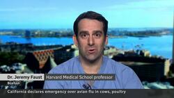 Experts urge Canadians to be cautious as human cases of bird flu rise in the U.S. News Clip