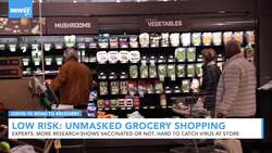 What's The Risk Going Grocery Shopping Unmasked? News Clip