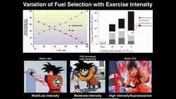 Exercise Physiology | Variation of Fuel Source with Exercise Intensity Instructional Video