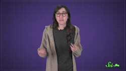 Can Poppy Seeds Make You Fail a Drug Test? Instructional Video