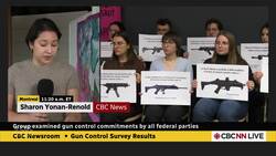 What are the federal parties saying about gun control? News Clip