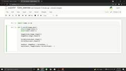 Deep Learning CNN Convolutional Neural Networks with Python - Image Processing Activity Solution Instructional Video