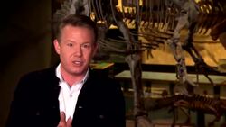 DIY Sci: Guess the Height! Instructional Video