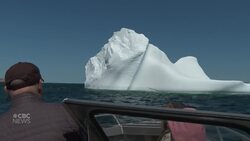 ‘Berg bonanza! Twillingate is already getting a tourism boost with the arrival of nature’s floating art News Clip