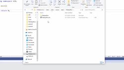 C++ Developer - Sequential File Input Instructional Video