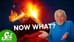 These Scrolls Got Destroyed by a Volcano, But It’s Fine Instructional Video