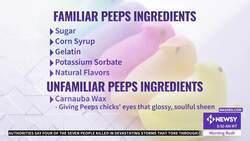 Peeps: Love Them Or Hate Them? News Clip