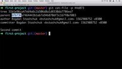 Complete Git Guide: Understand and Master Git and GitHub - Exploring Changes in a Git Repository Instructional Video
