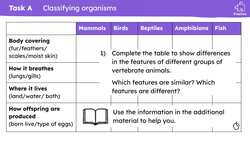Classifying organisms using a classification key Instructional Video