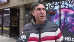 Windsor's illegal magic mushroom shop is closing down News Clip