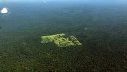 A look at illegal logging in the Amazon News Clip