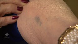 The Girl in the Picture News Clip