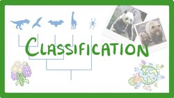 GCSE Biology - Classification #80 Instructional Video