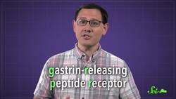 Why Does Scratching Make Itching Worse? Instructional Video