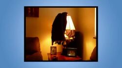 Fire Safety Instructional Video