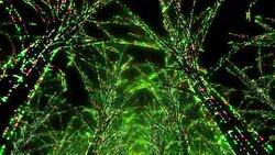 Neon Tree illumination Stock Footage