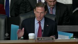 Boeing CEO criticized over 737 Max crashes News Clip