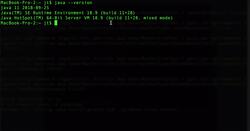 Apache Maven Beginner to Guru - Environment Verification Instructional Video