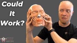 How Long Does a Head Transplant Take? Instructional Video