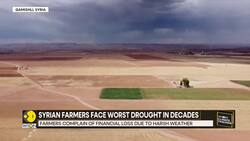 IMD Issues Orange Alerts For Parts Of Himachal Pradesh, Gujarat & Kerala News Clip