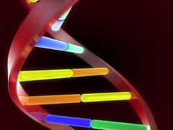 Ragos y herencia: ADN Instructional Video