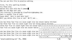 Vim Masterclass - Exercise Three - Deleting Text - Walkthrough Instructional Video