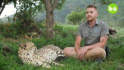 Lion King: 23-Year-Old Is Best Friends With Big Cats Instructional Video
