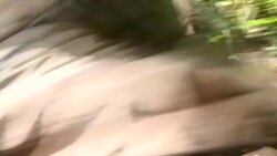 CLEAN : French soldiers' gruelling training in the Guiana jungle News Clip