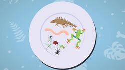 I WONDER - What Did The Archaeopteryx Eat? Instructional Video