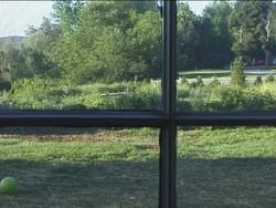 Senses: Introduction Instructional Video