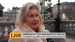 Some Britons unimpressed with Norway's Christmas tree gift News Clip