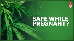 Is Marijuana Safe During Pregnancy? Instructional Video
